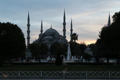 Blue Mosque