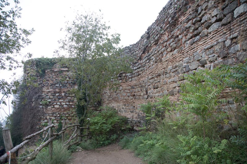 Yoros Castle